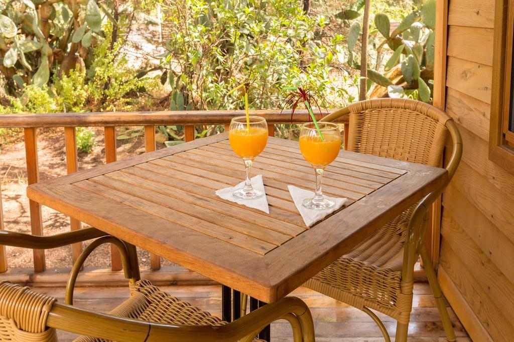 Secret Garden Hotel & Bungalows Cirali Exterior foto