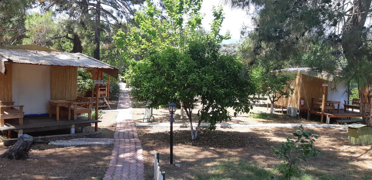 Secret Garden Hotel & Bungalows Cirali Exterior foto