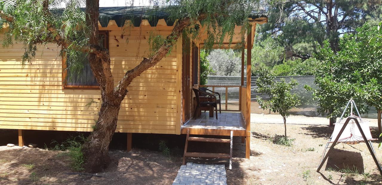 Secret Garden Hotel & Bungalows Cirali Exterior foto