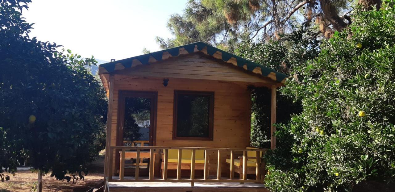 Secret Garden Hotel & Bungalows Cirali Exterior foto