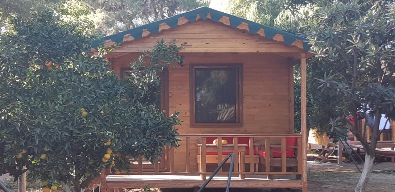 Secret Garden Hotel & Bungalows Cirali Exterior foto